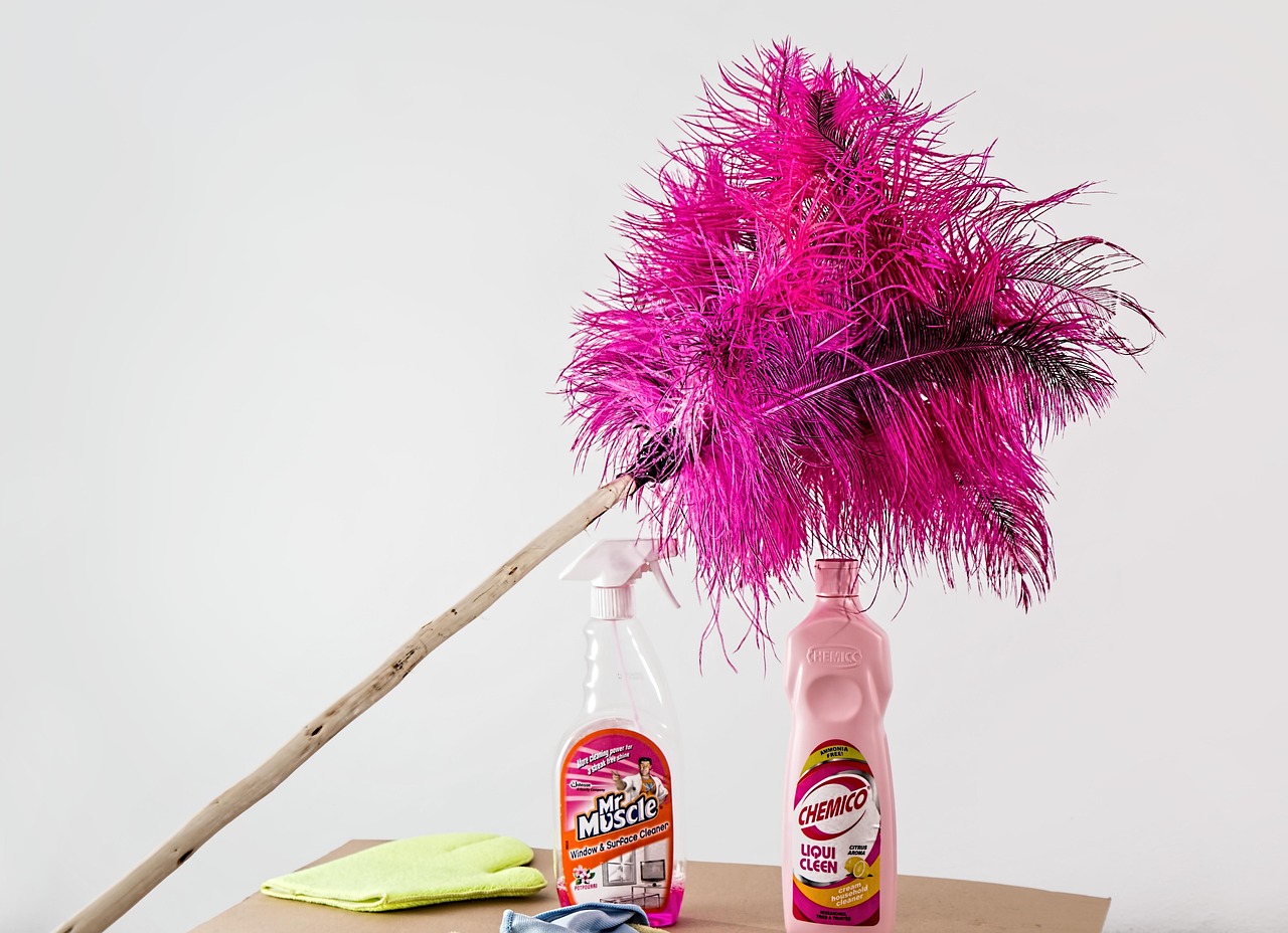 feather duster, cleaning, housework, cleaner, domestic chores, housekeeping, spray, tidy, cleanup, feather duster, feather duster, feather duster, cleaning, housework, cleaner, cleaner, cleaner, housekeeping, housekeeping, housekeeping, housekeeping, housekeeping, tidy, tidy, tidy